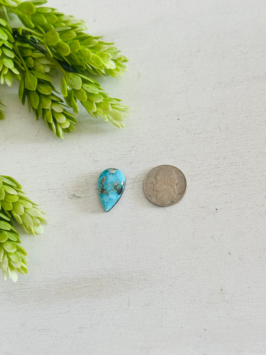 Blue Bird Turquoise Cab