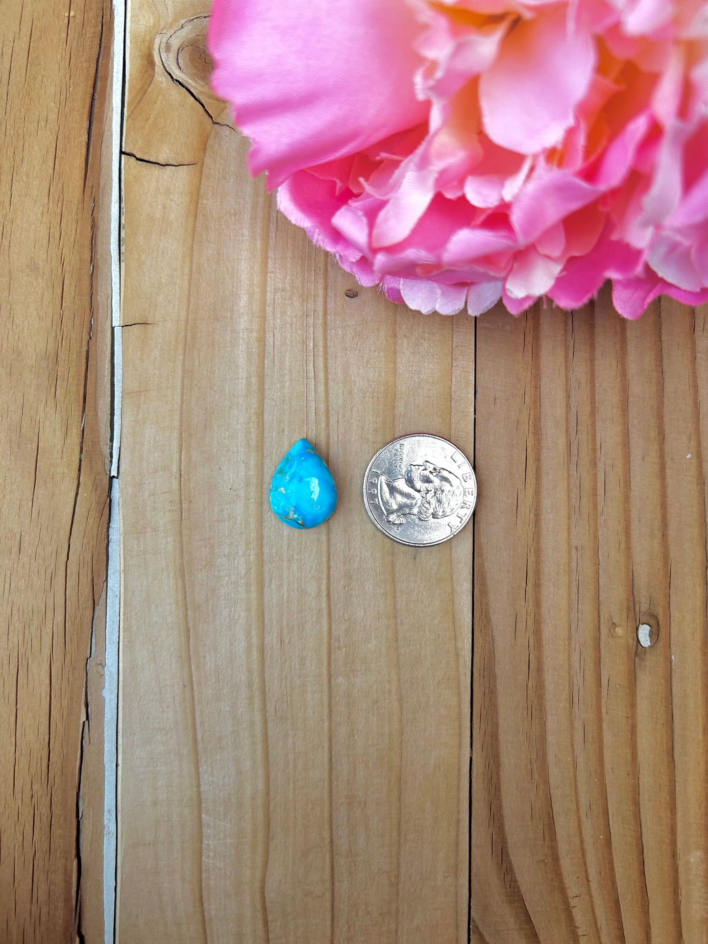 Blue Bird Turquoise Cabs