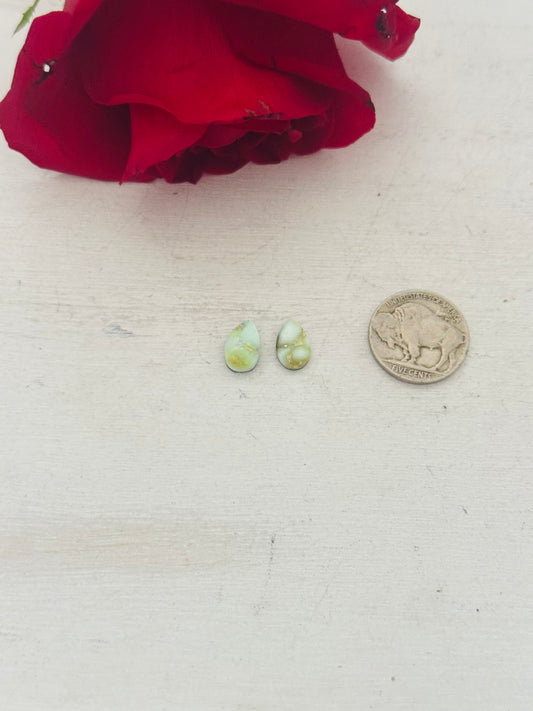 Palomino Variscite Cabs