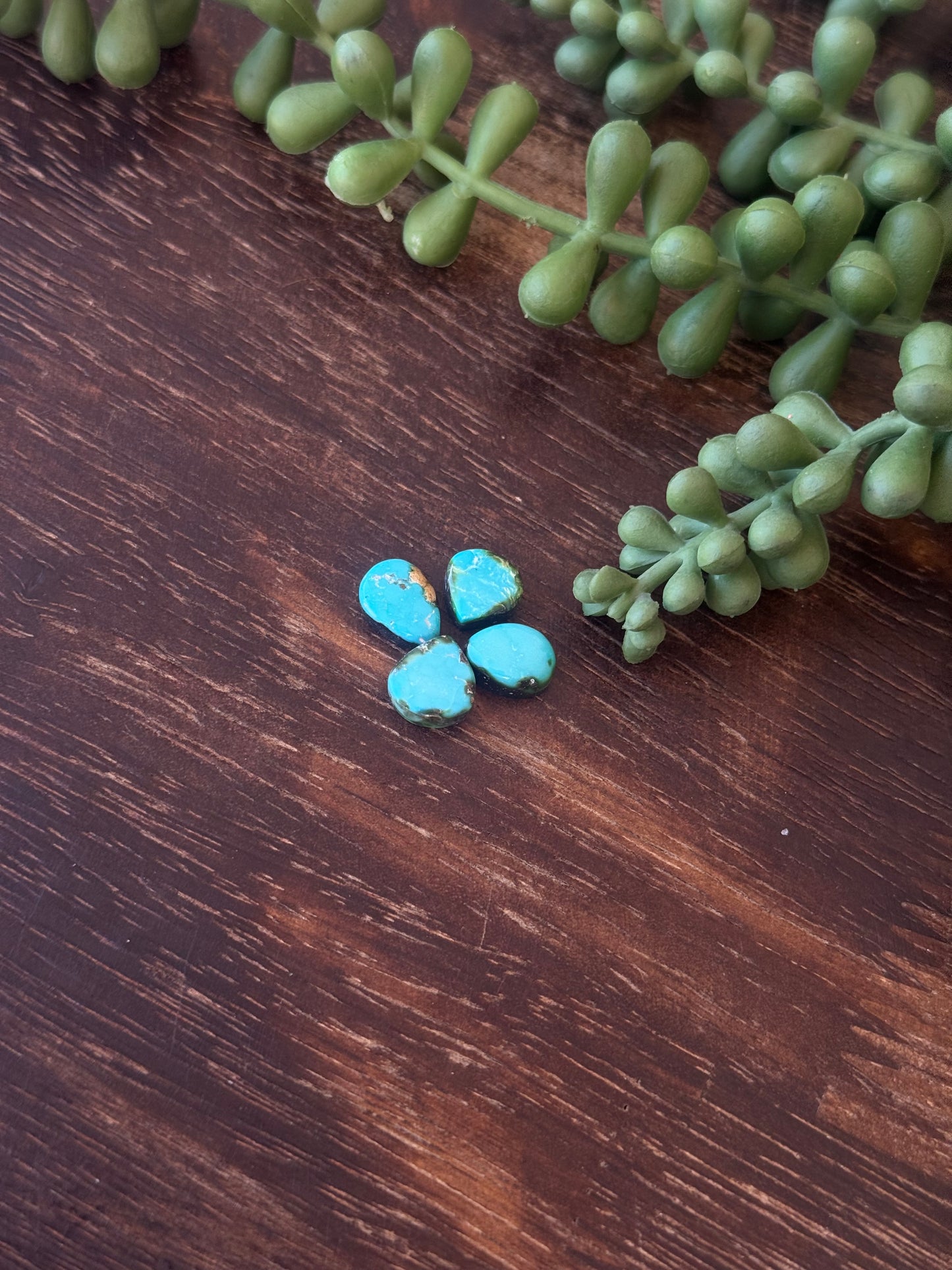 Sonoran Mountain Turquoise Cabs