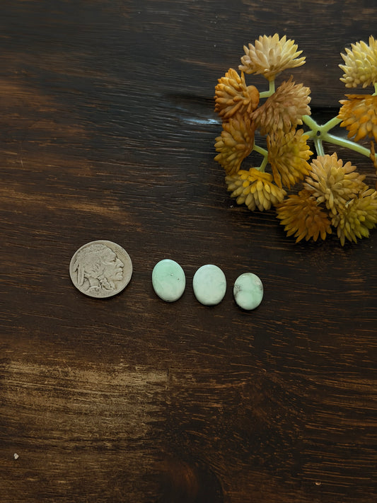 Paloma Variscite Cabs
