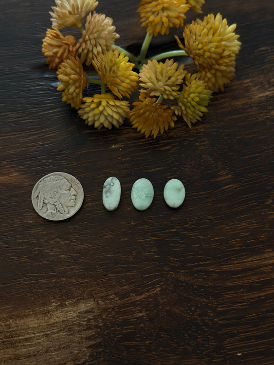 Paloma Variscite Cabs