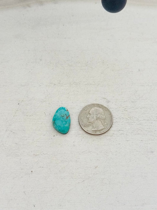 Kingman Turquoise Cab