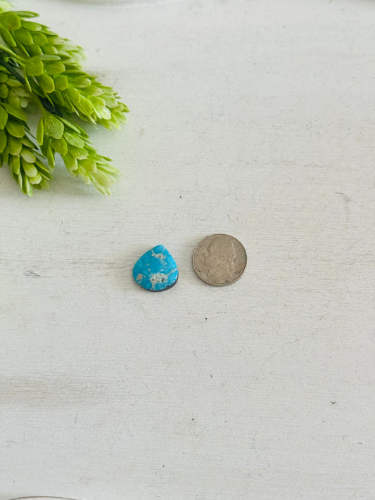 Blue Bird Turquoise Cab