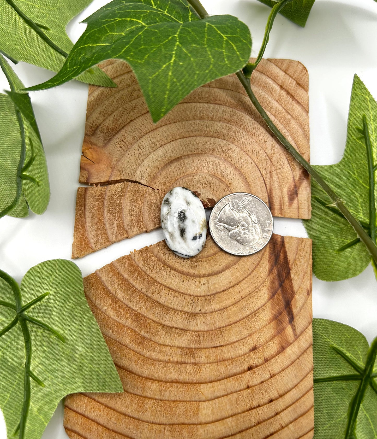 White Buffalo Cabs