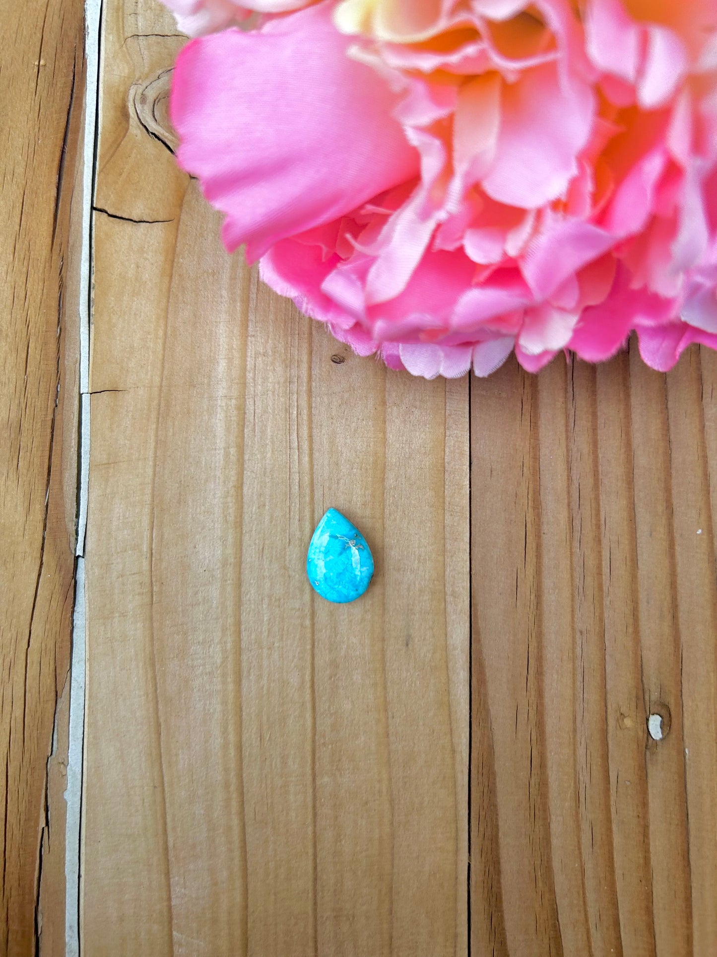 Blue Bird Turquoise Cabs