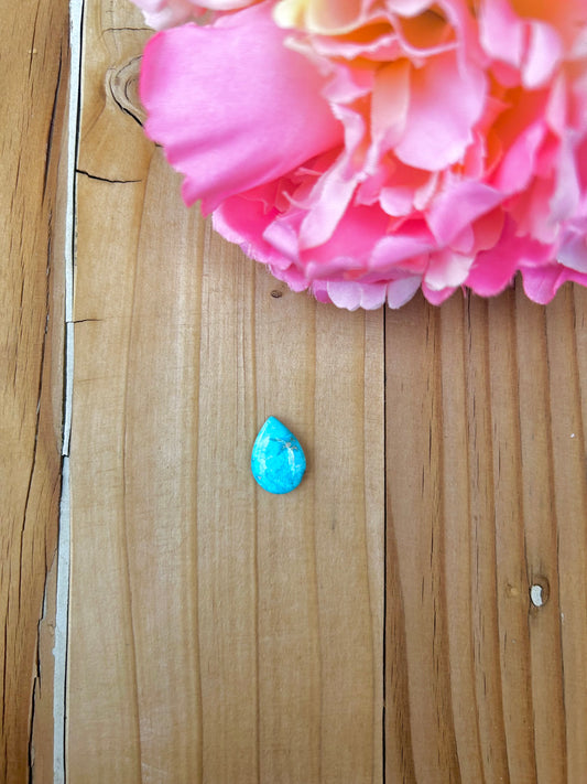 Blue Bird Turquoise Cabs