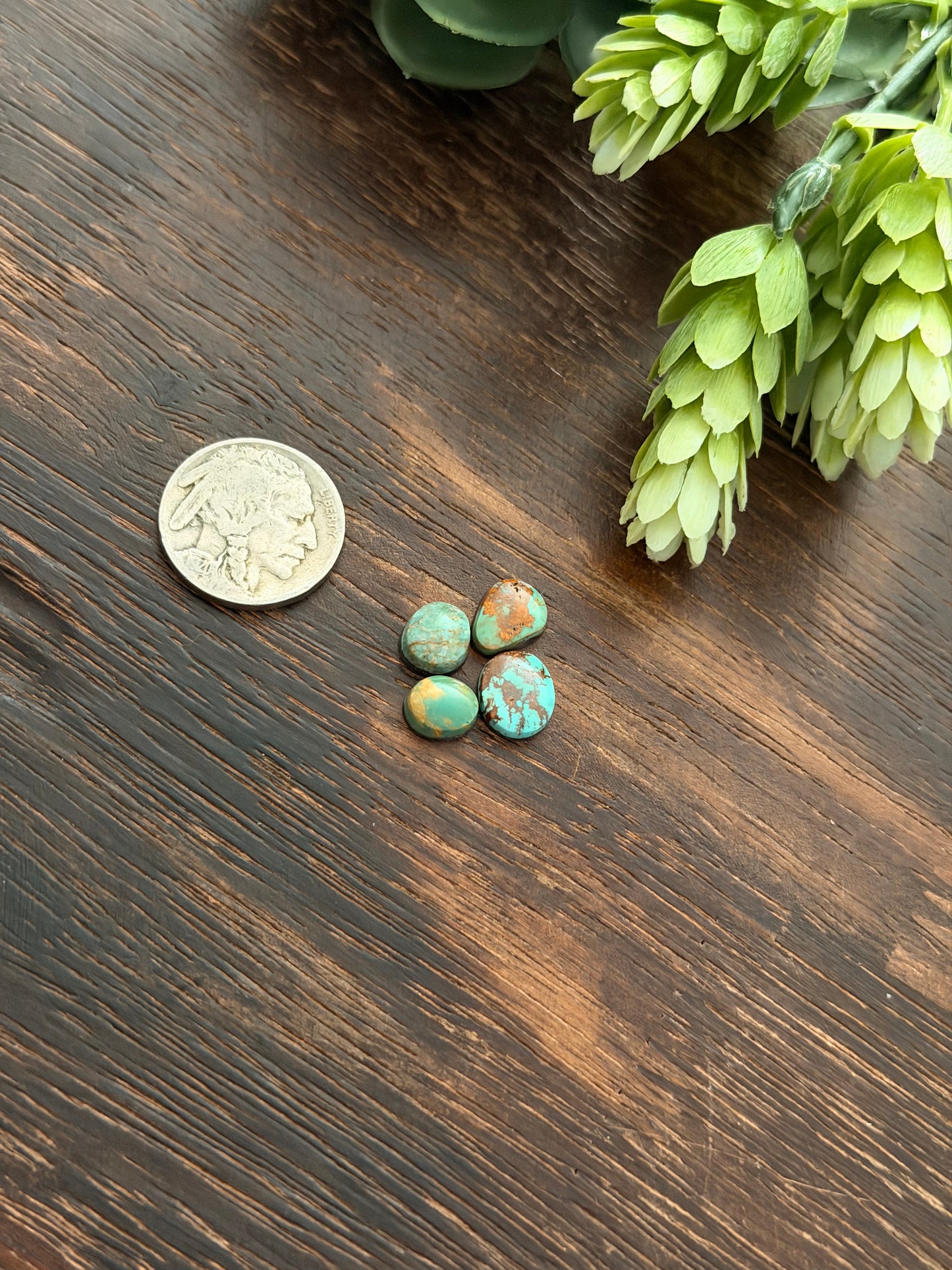 Evans Turquoise Cabs