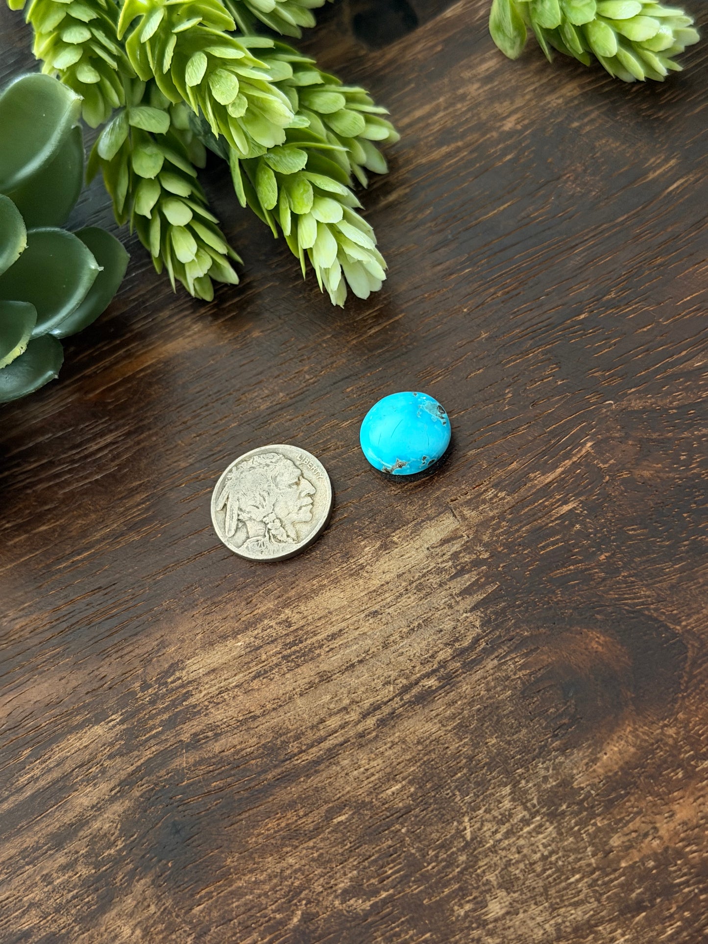 Blue Bird Turquoise Cab