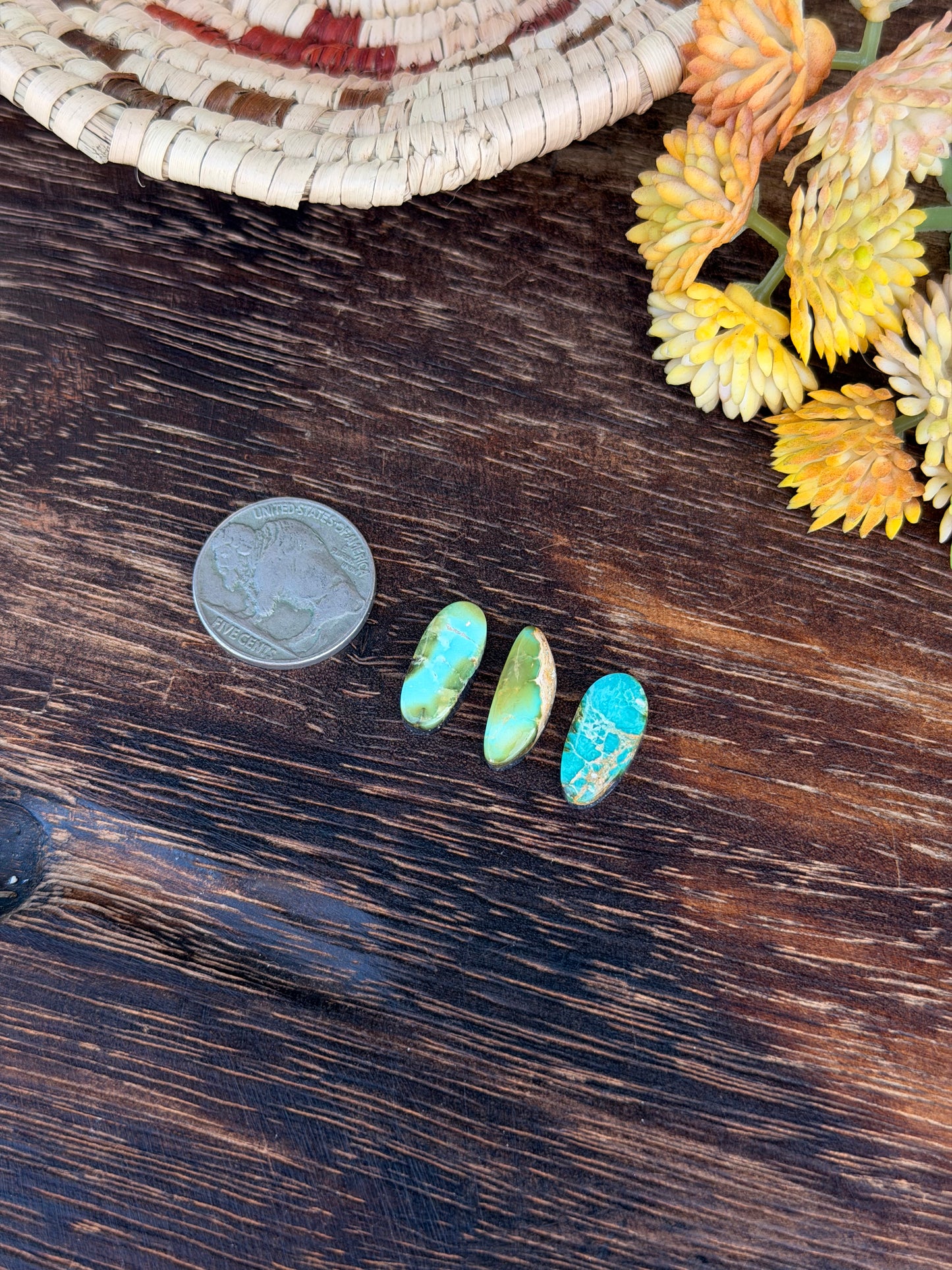 Sonoran Mountain Turquoise Cabs