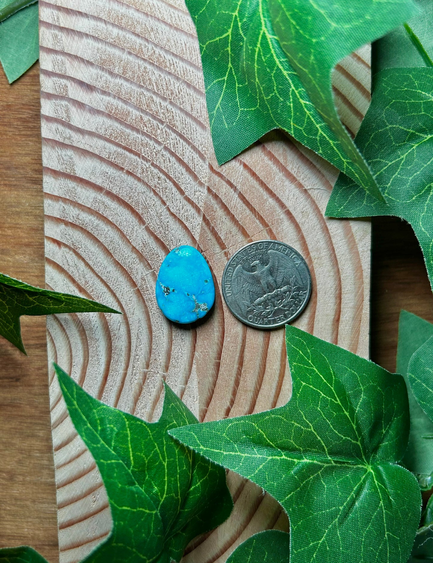 Blue Bird Turquoise Cabs