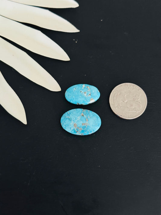 Blue Bird Turquoise Cabs