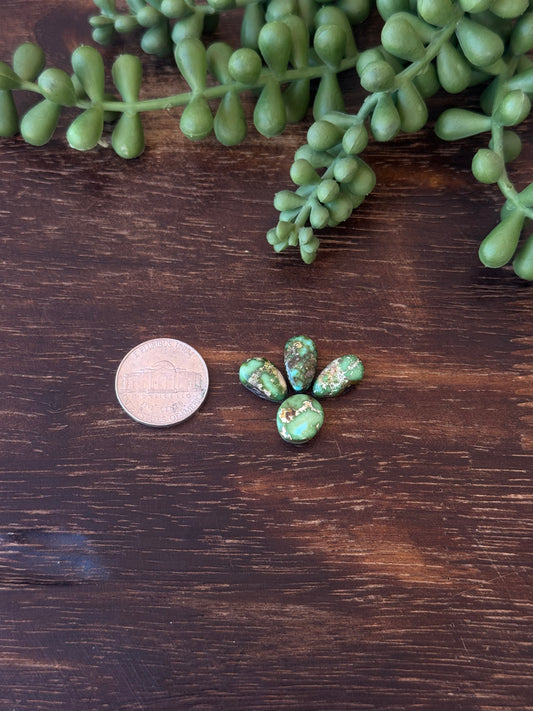 Sonoran Mountain Turquoise Cabs