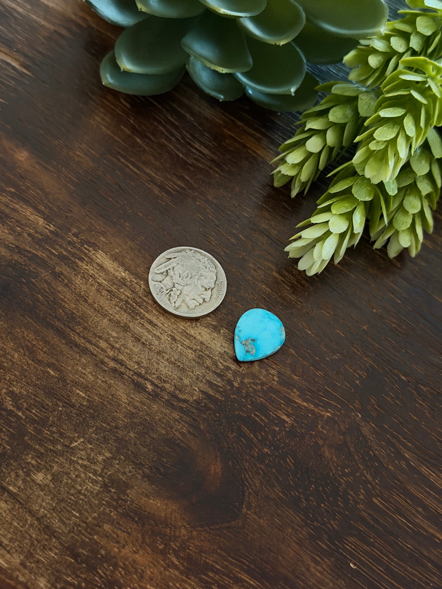 Blue Bird Turquoise Cab