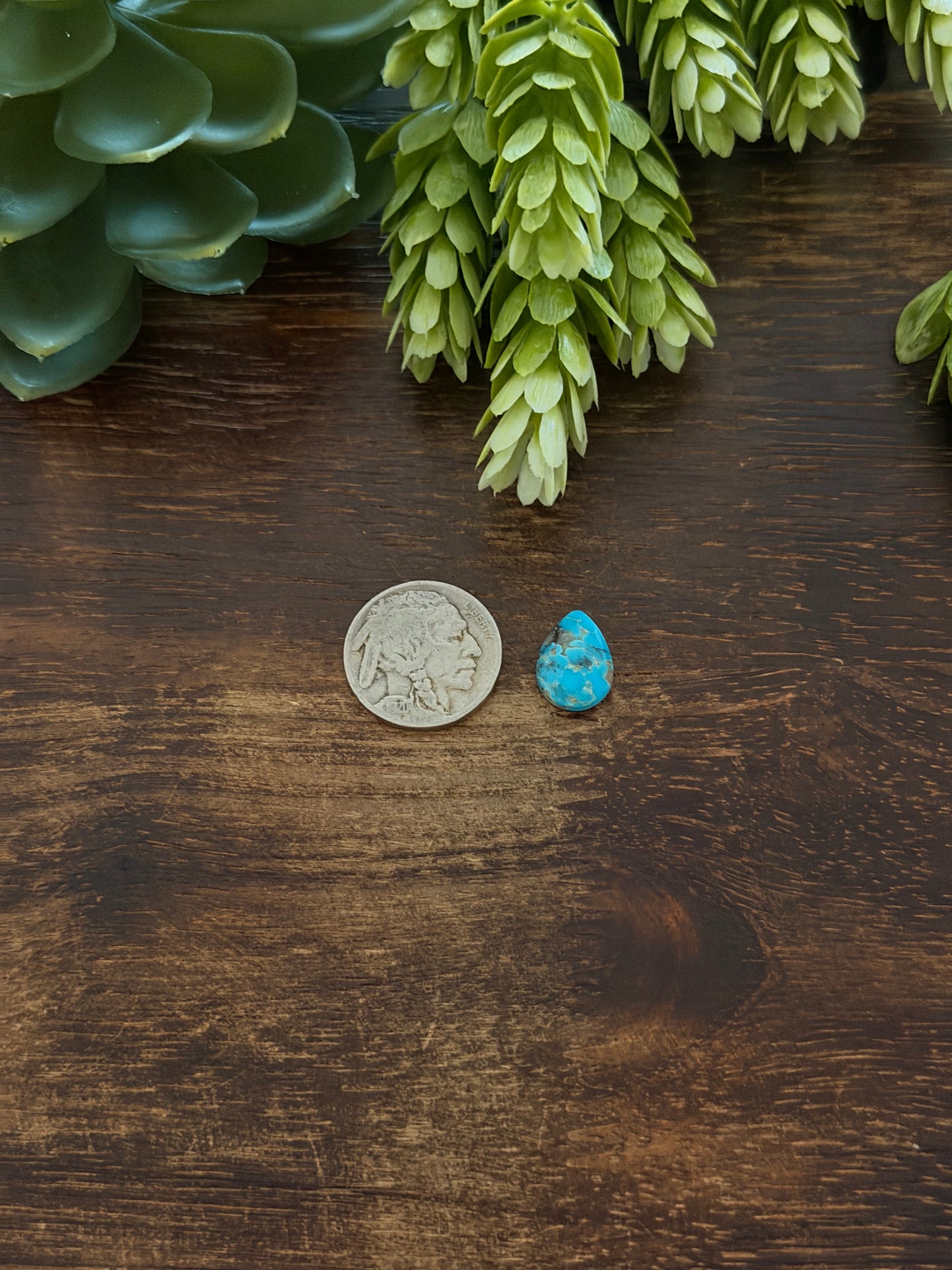 Blue Bird Turquoise Cab