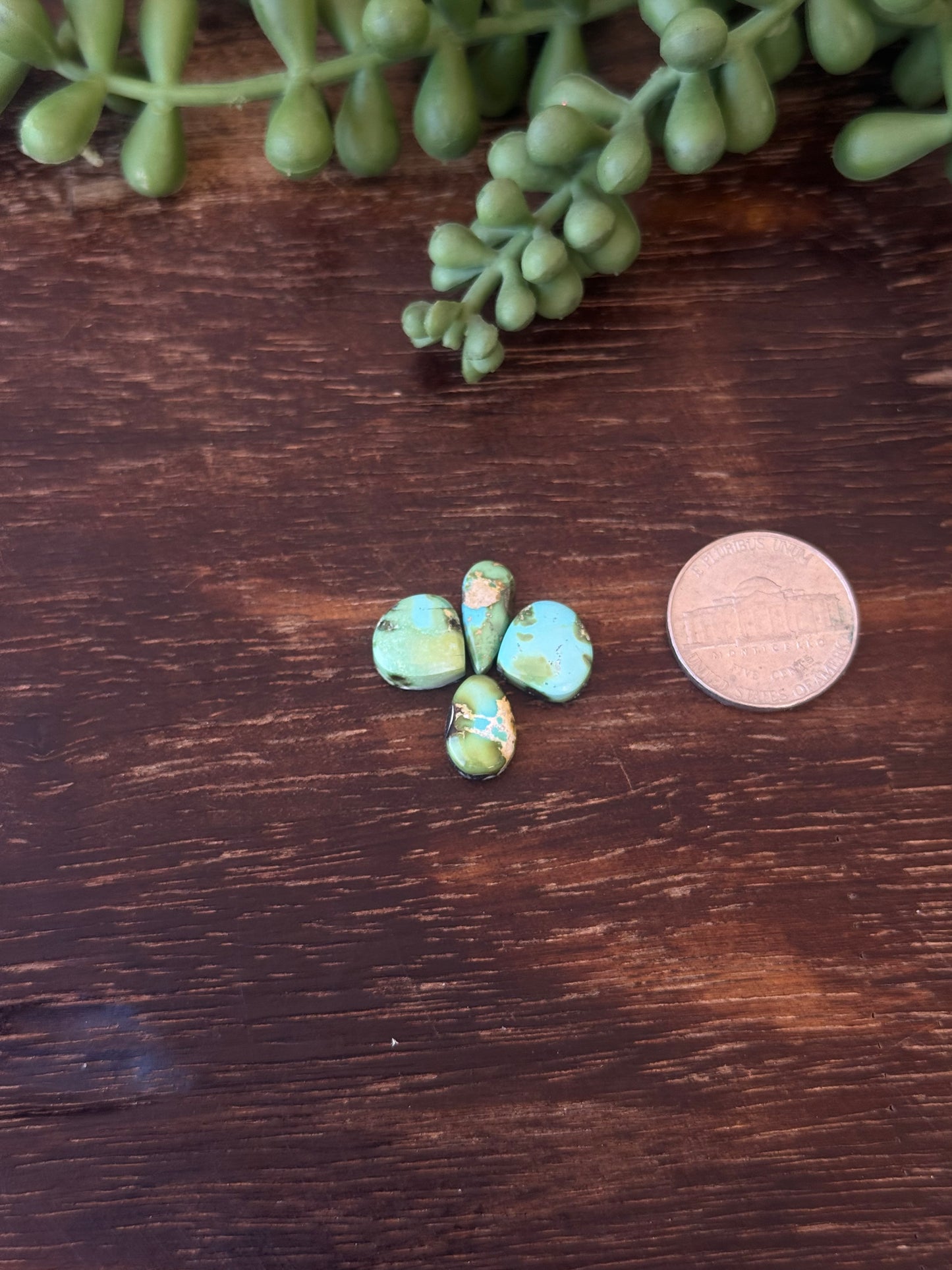 Sonoran Mountain Turquoise Cabs