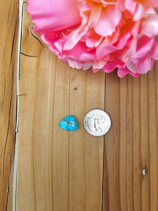 Blue Bird Turquoise Cabs