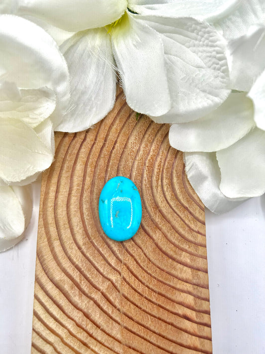 Kingman Turquoise Cab