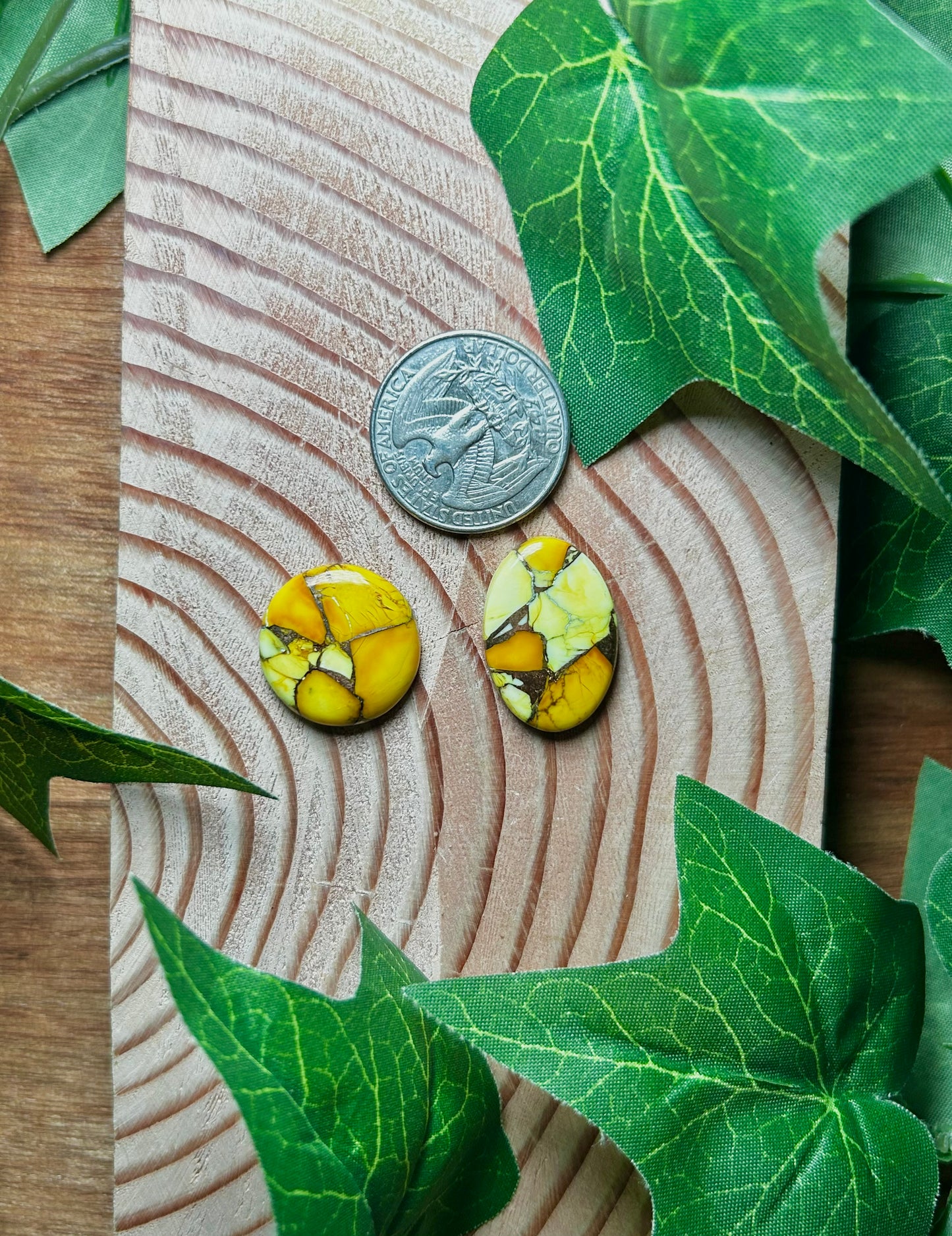 Honey Dahlia Cabs