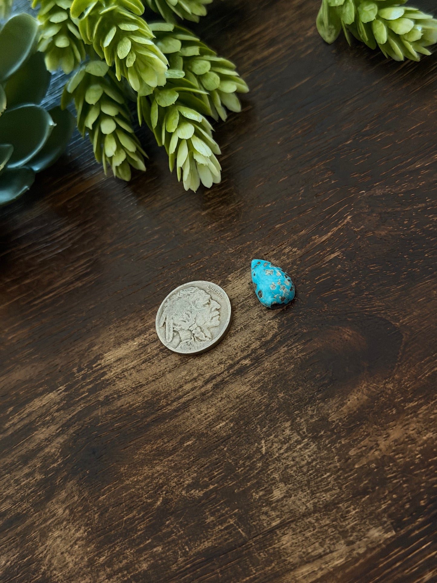 Blue Bird Turquoise Cab