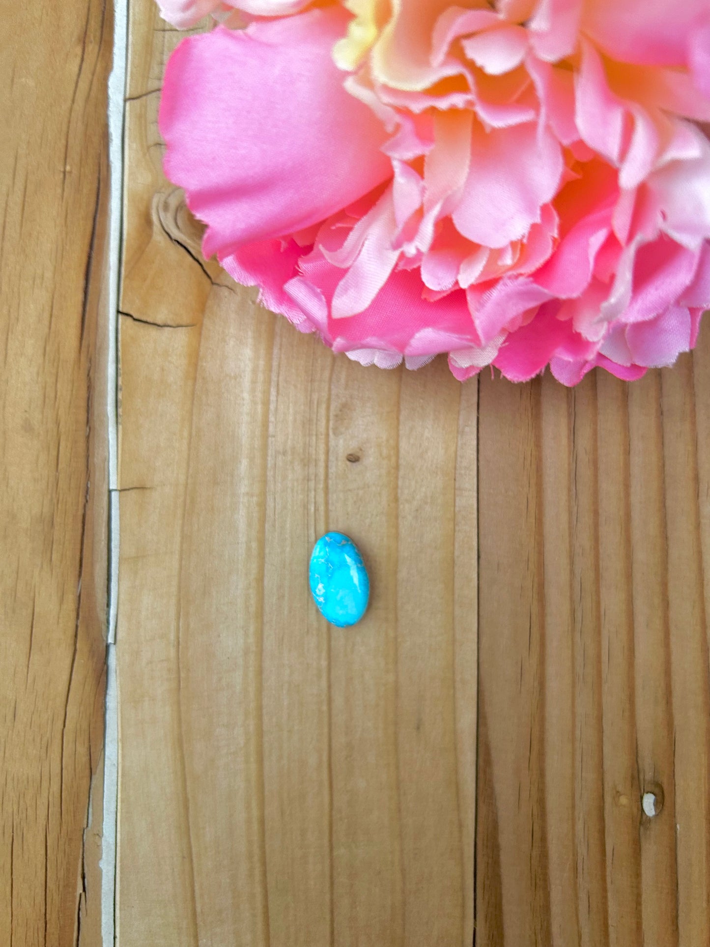 Blue Bird Turquoise Cabs