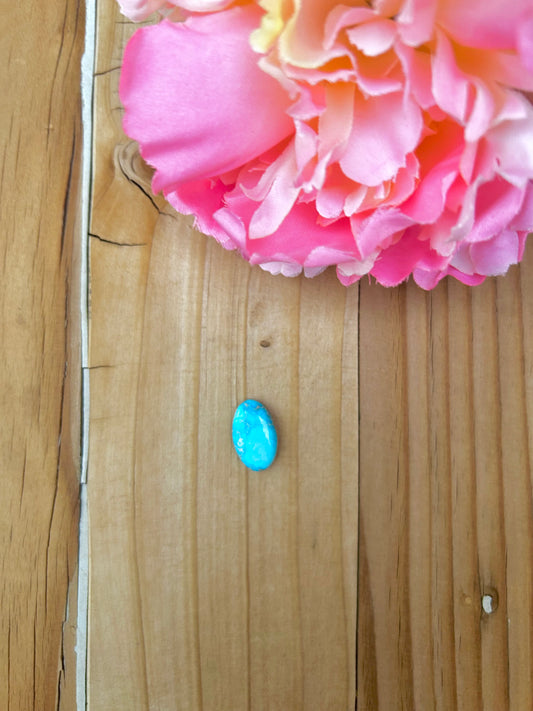 Blue Bird Turquoise Cabs