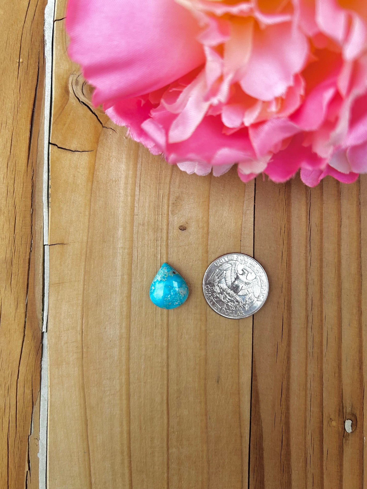 Blue Bird Turquoise Cabs