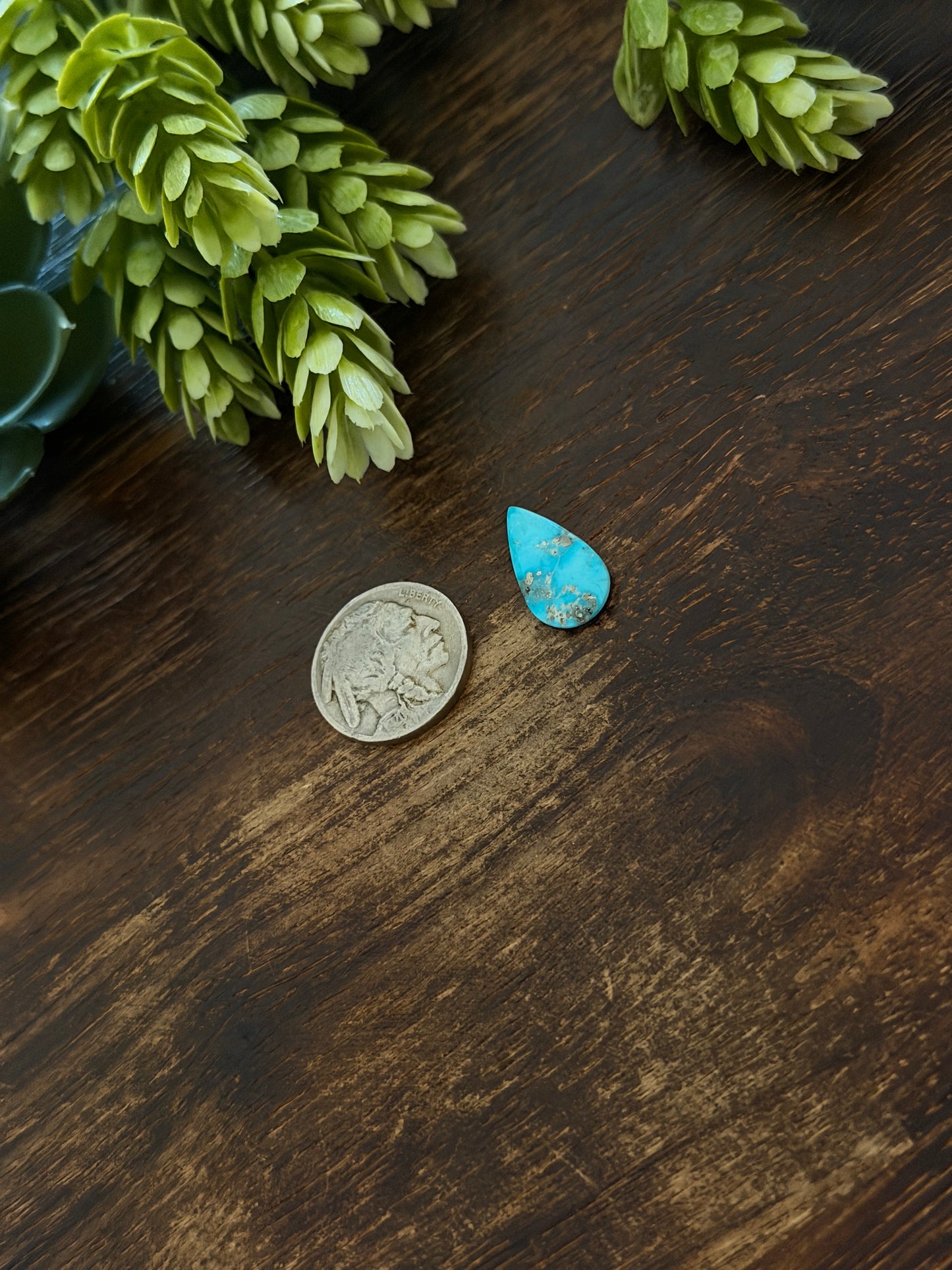 Blue Bird Turquoise Cab