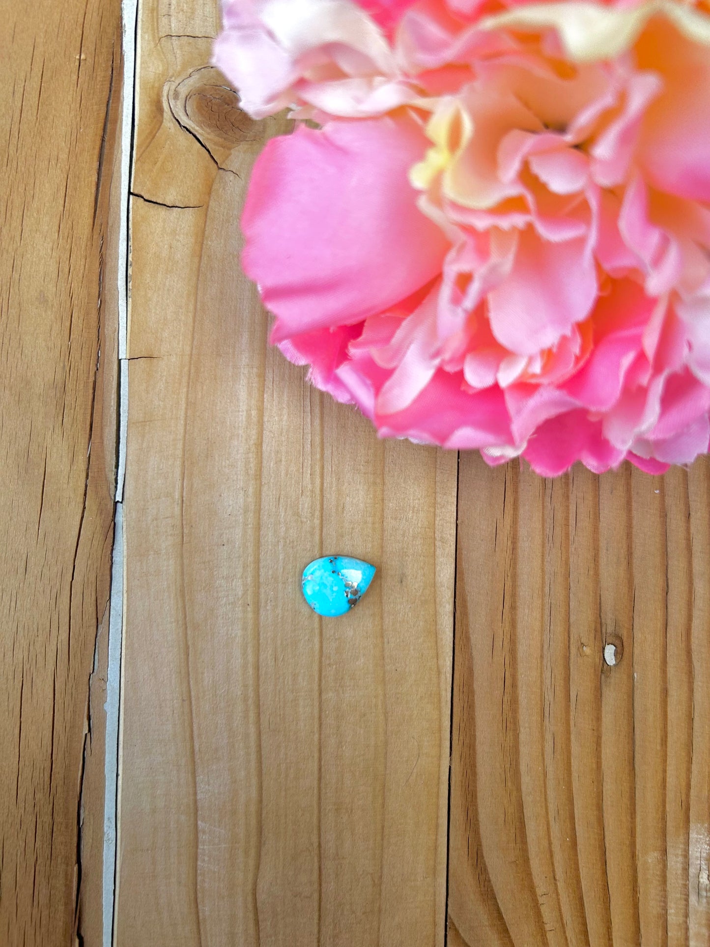 Blue Bird Turquoise Cabs
