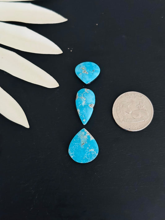Blue Bird Turquoise Cabs