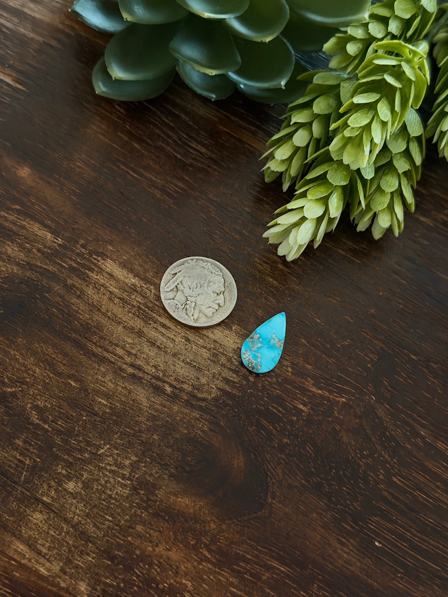 Blue Bird Turquoise Cab