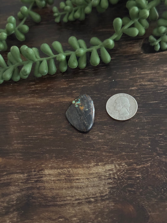 Black Jack Turquoise Cab