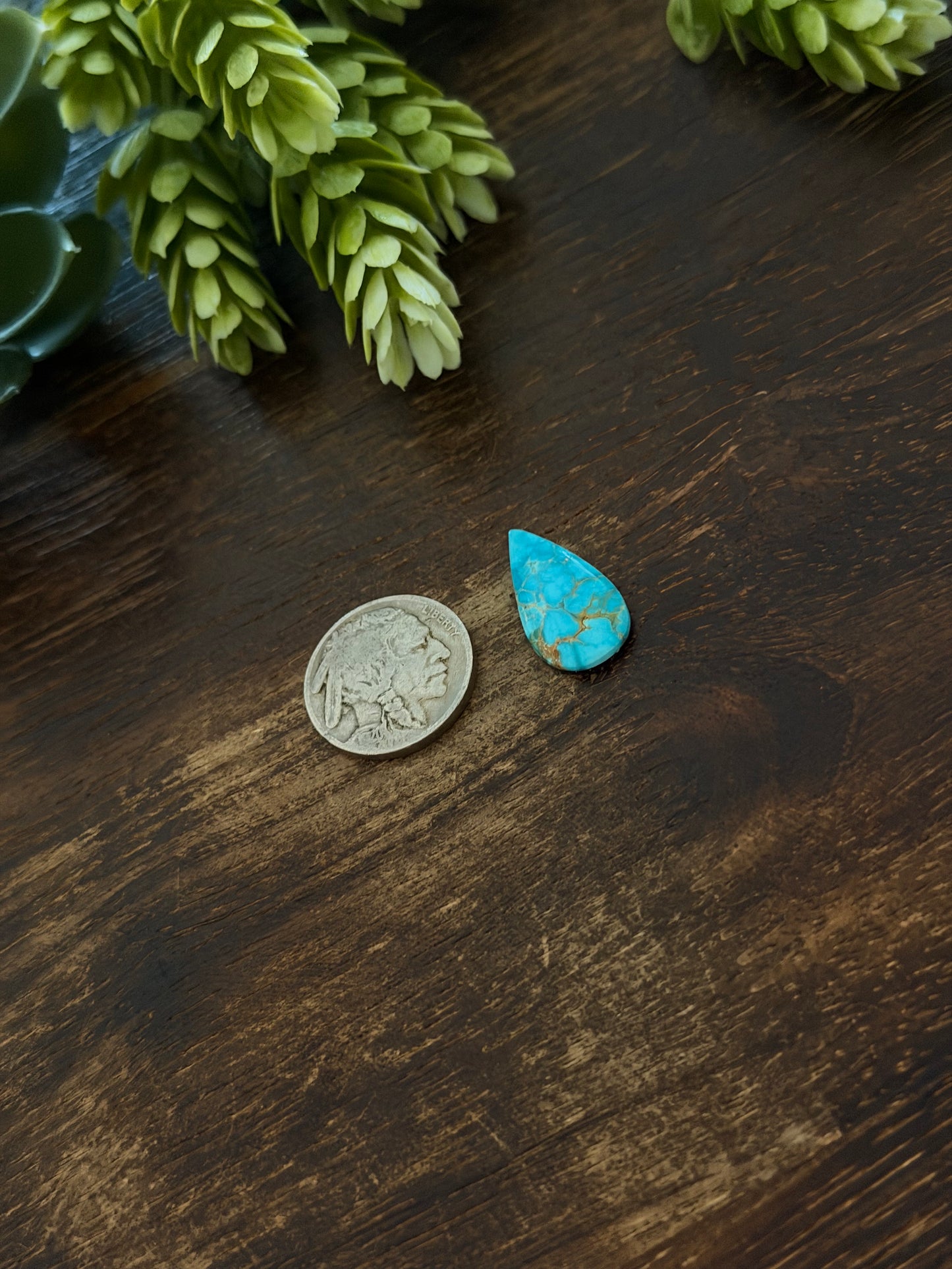 Blue Bird Turquoise Cab
