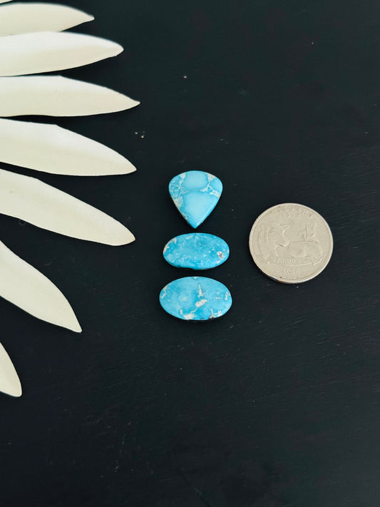 Blue Bird Turquoise Cabs