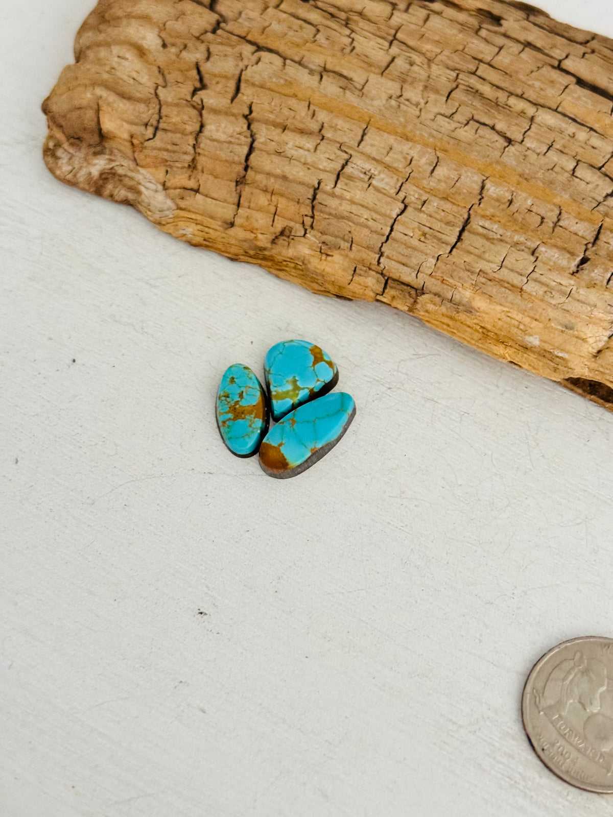 Natural Kings Manassa Turquoise Cabs