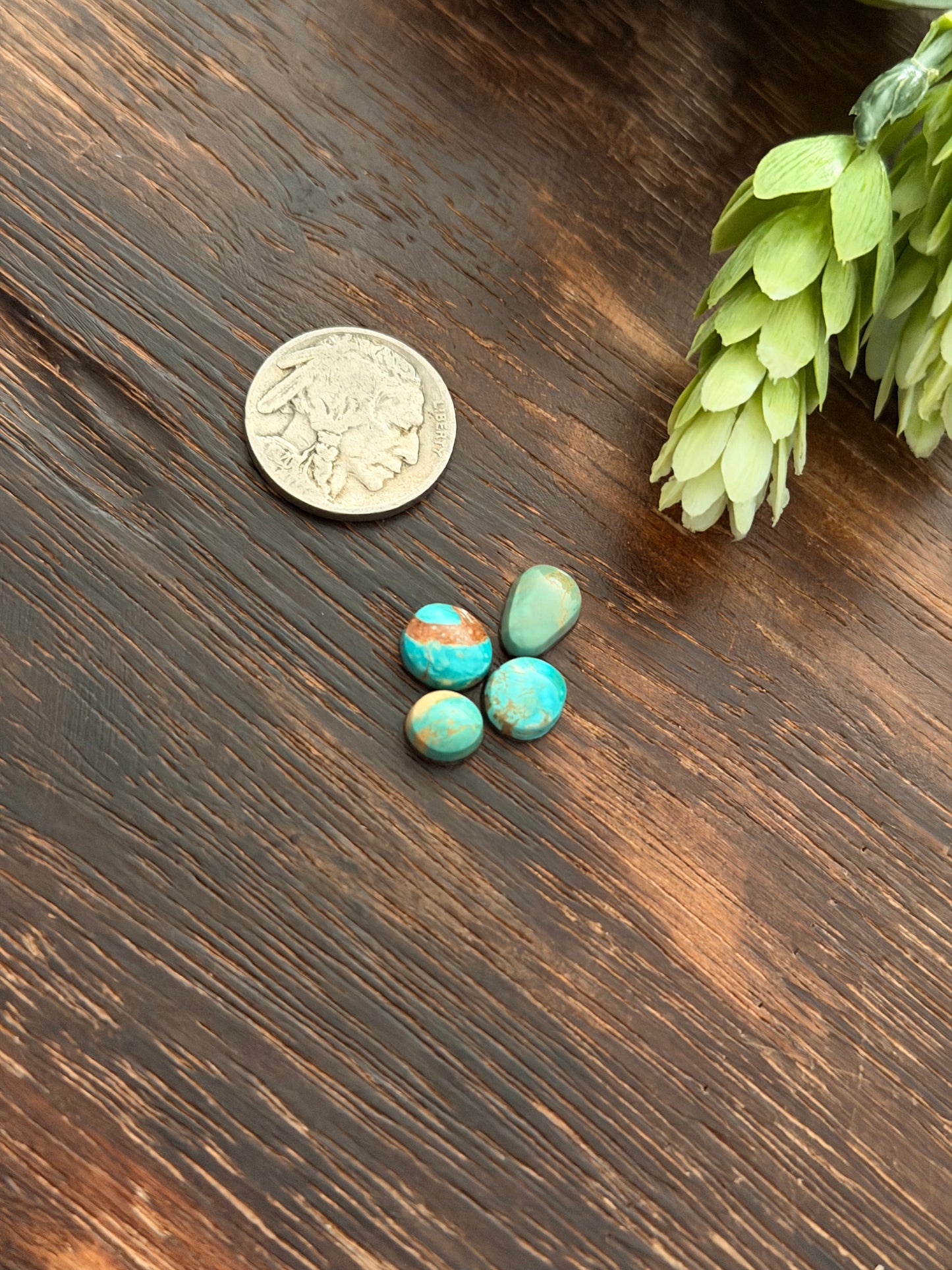 Evans Turquoise Cabs
