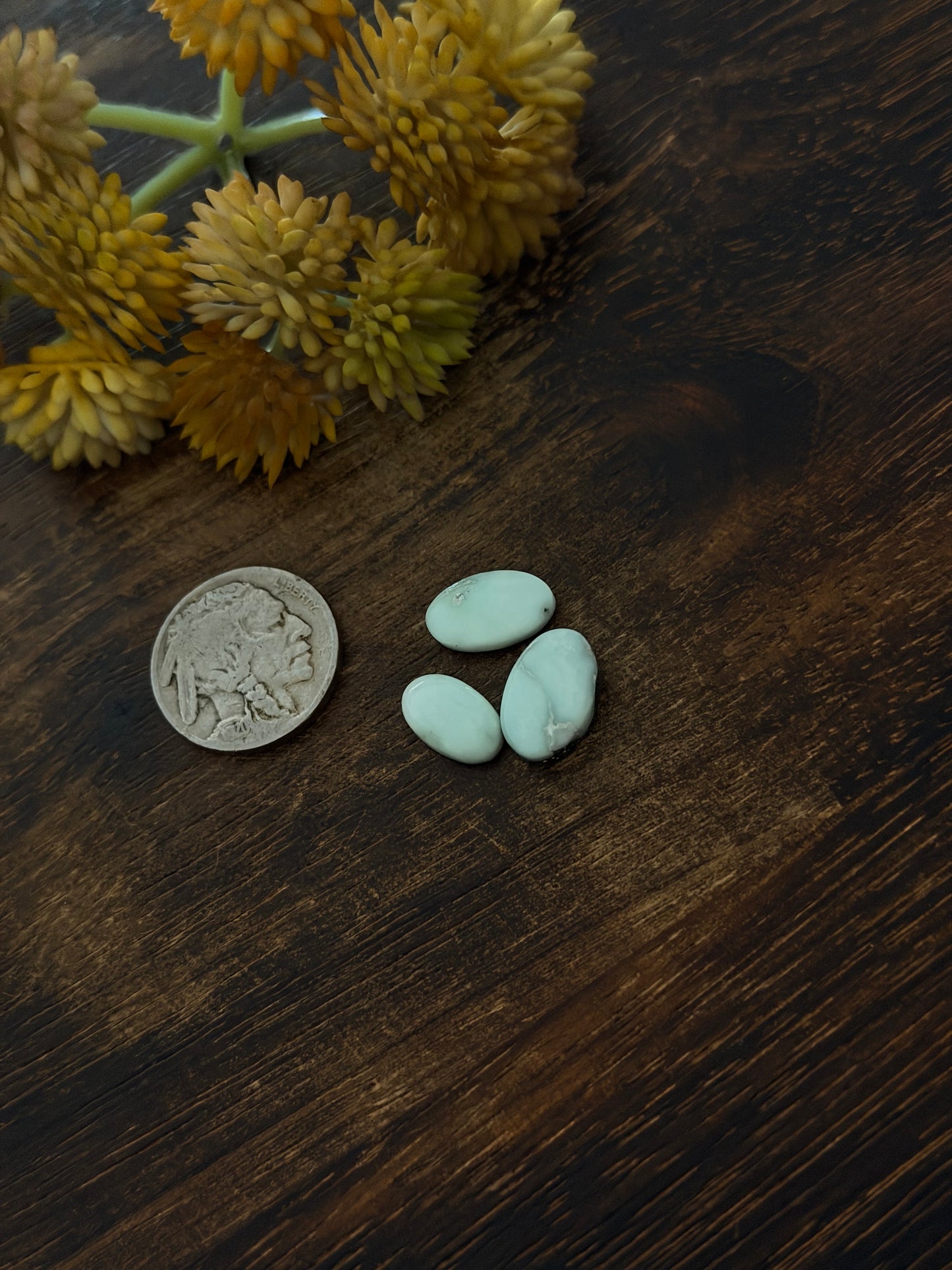 Paloma Variscite Cabs