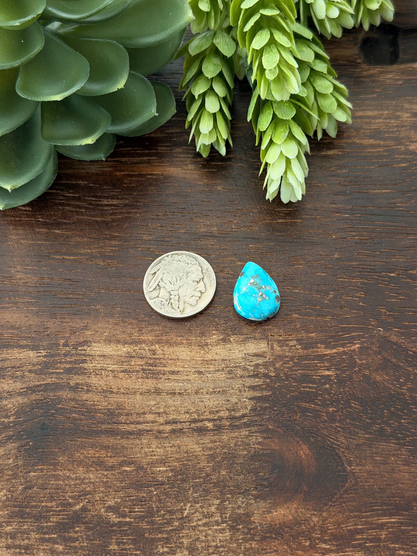 Blue Bird Turquoise Cab