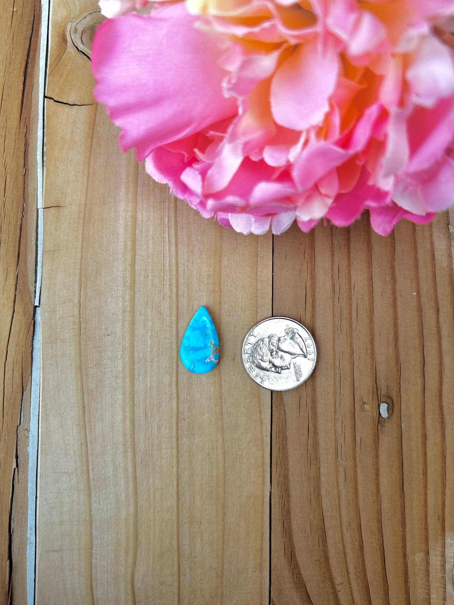 Blue Bird Turquoise Cabs