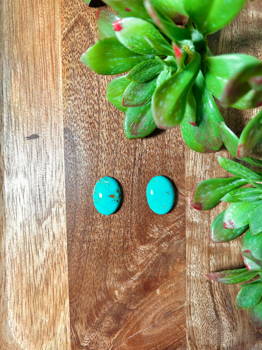 Kingman Turquoise Cabs