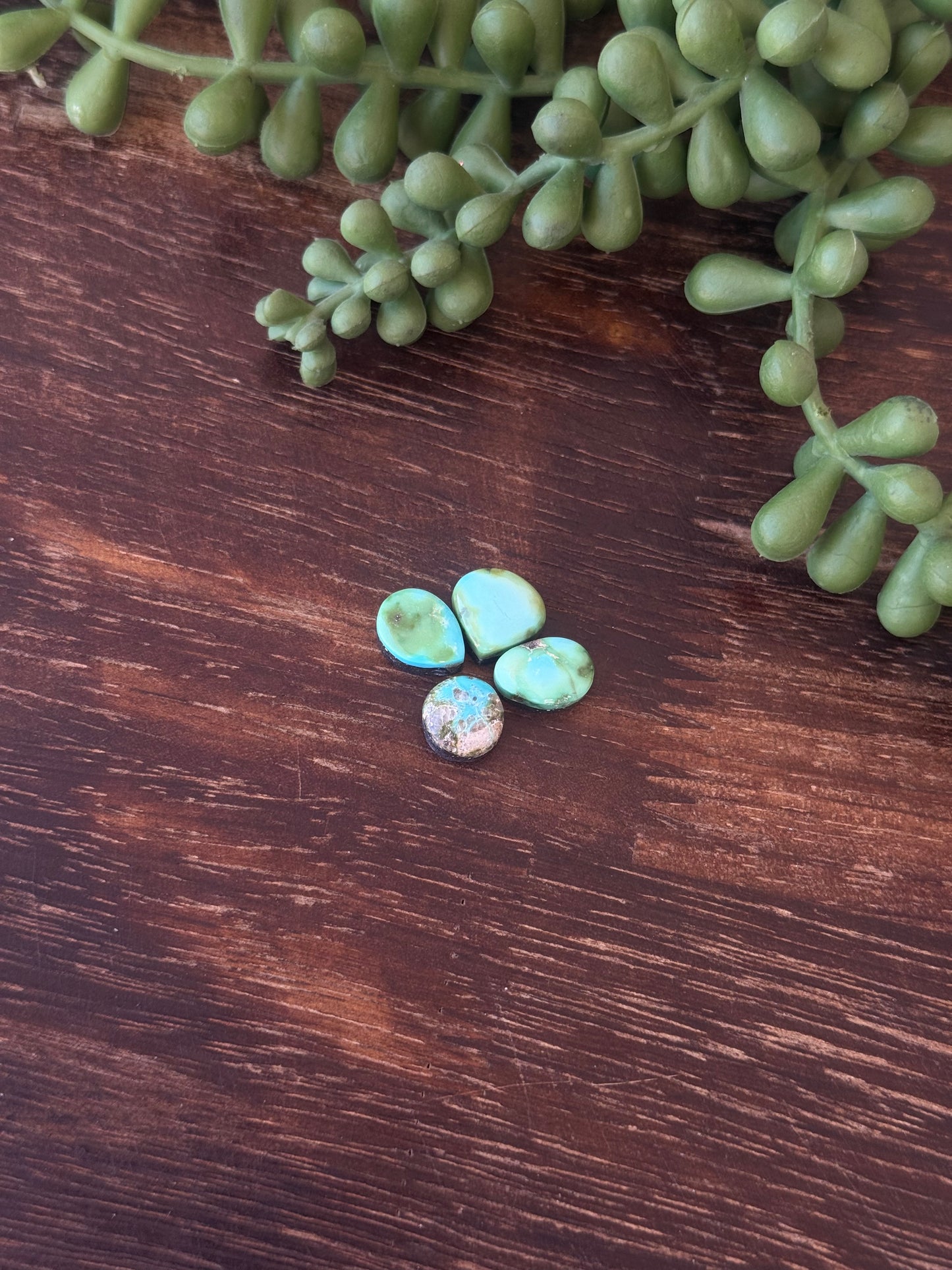 Sonoran Mountain Turquoise Cabs