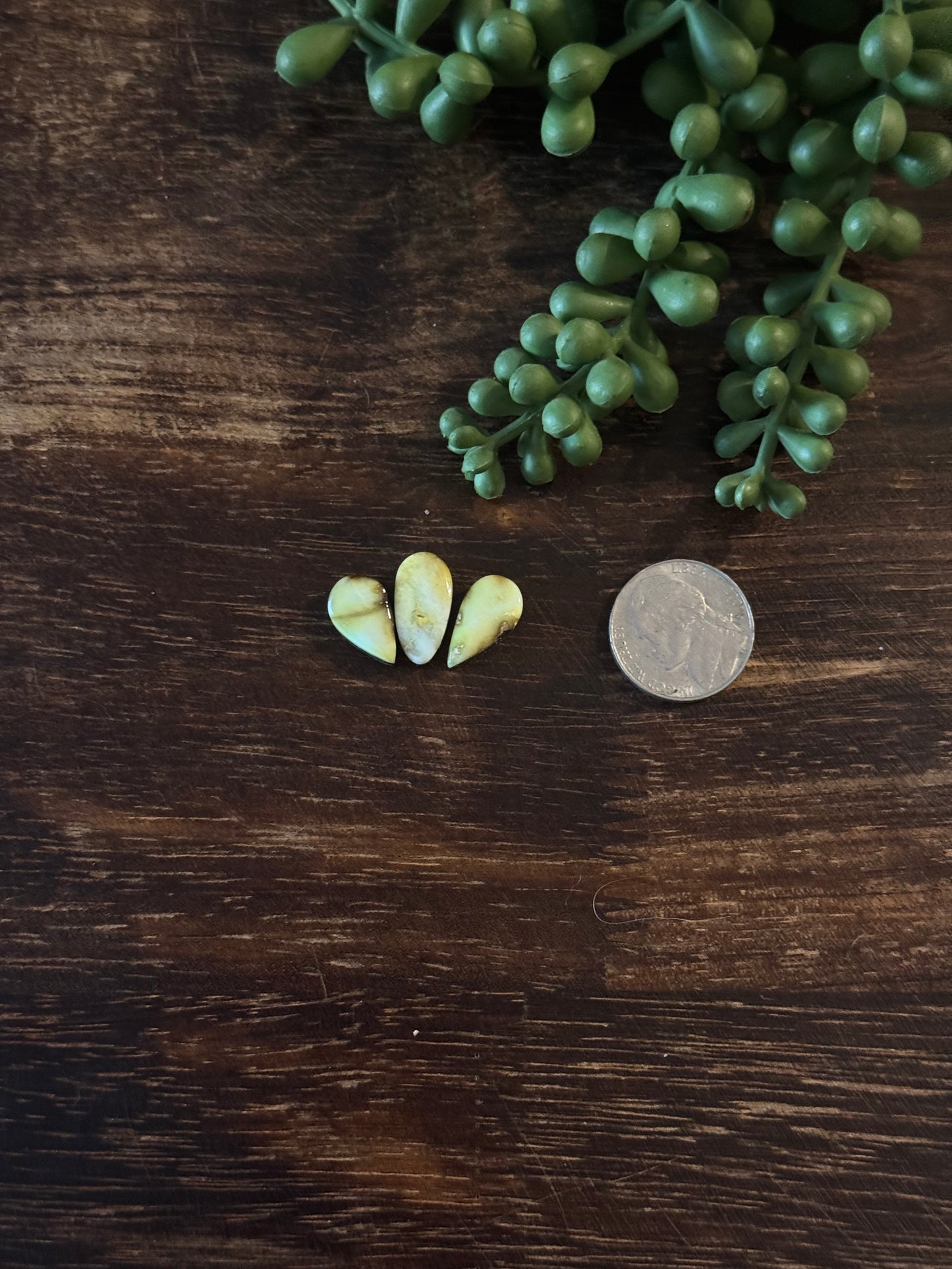 Palomino Variscite Cabs
