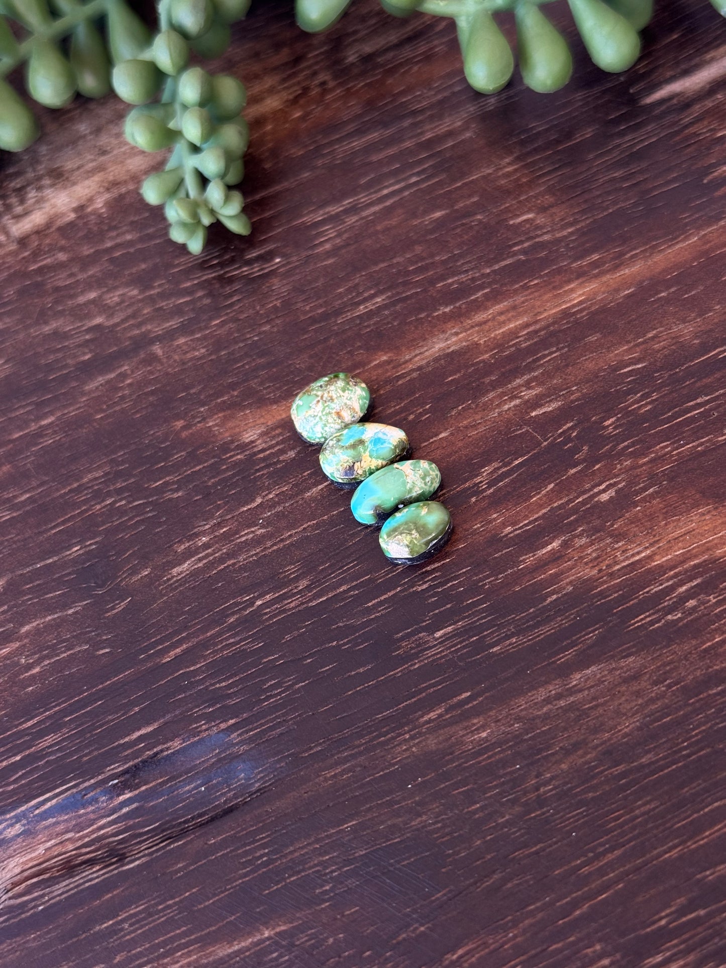 Sonoran Mountain Turquoise Cabs