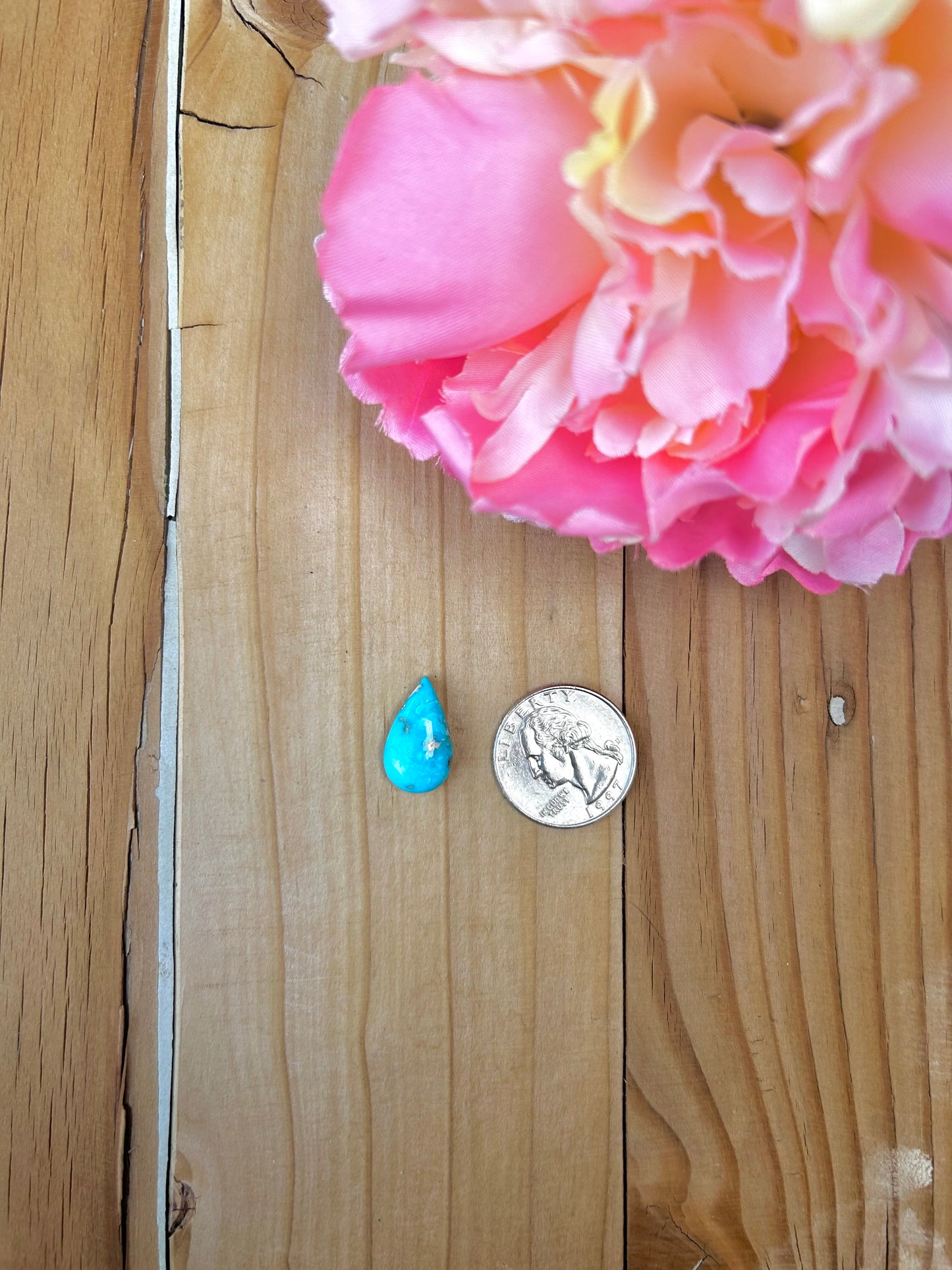 Blue Bird Turquoise Cabs