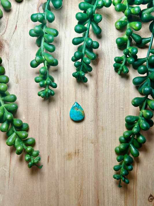 Kingman Turquoise Cab