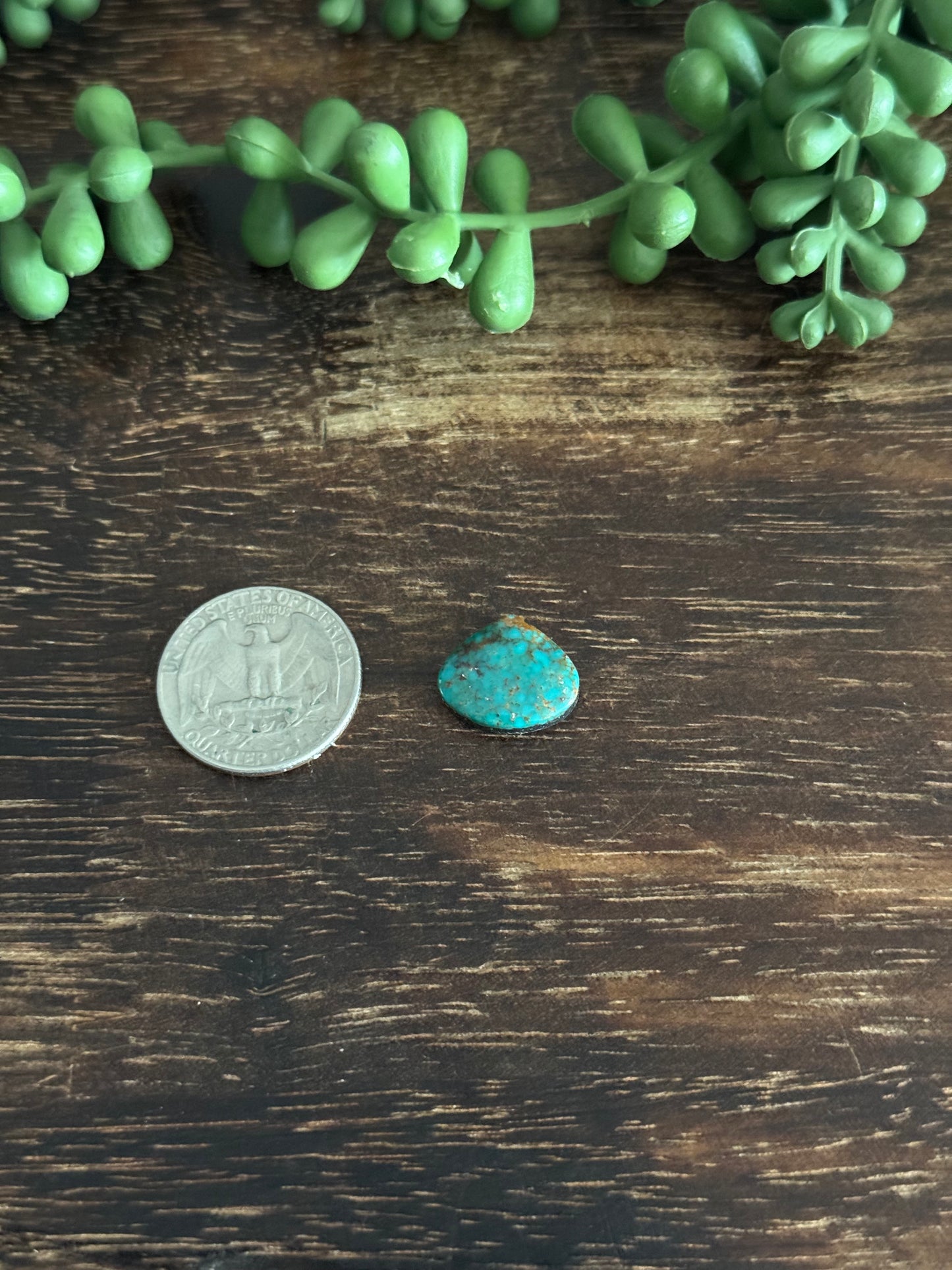 Kingman Turquoise Cab