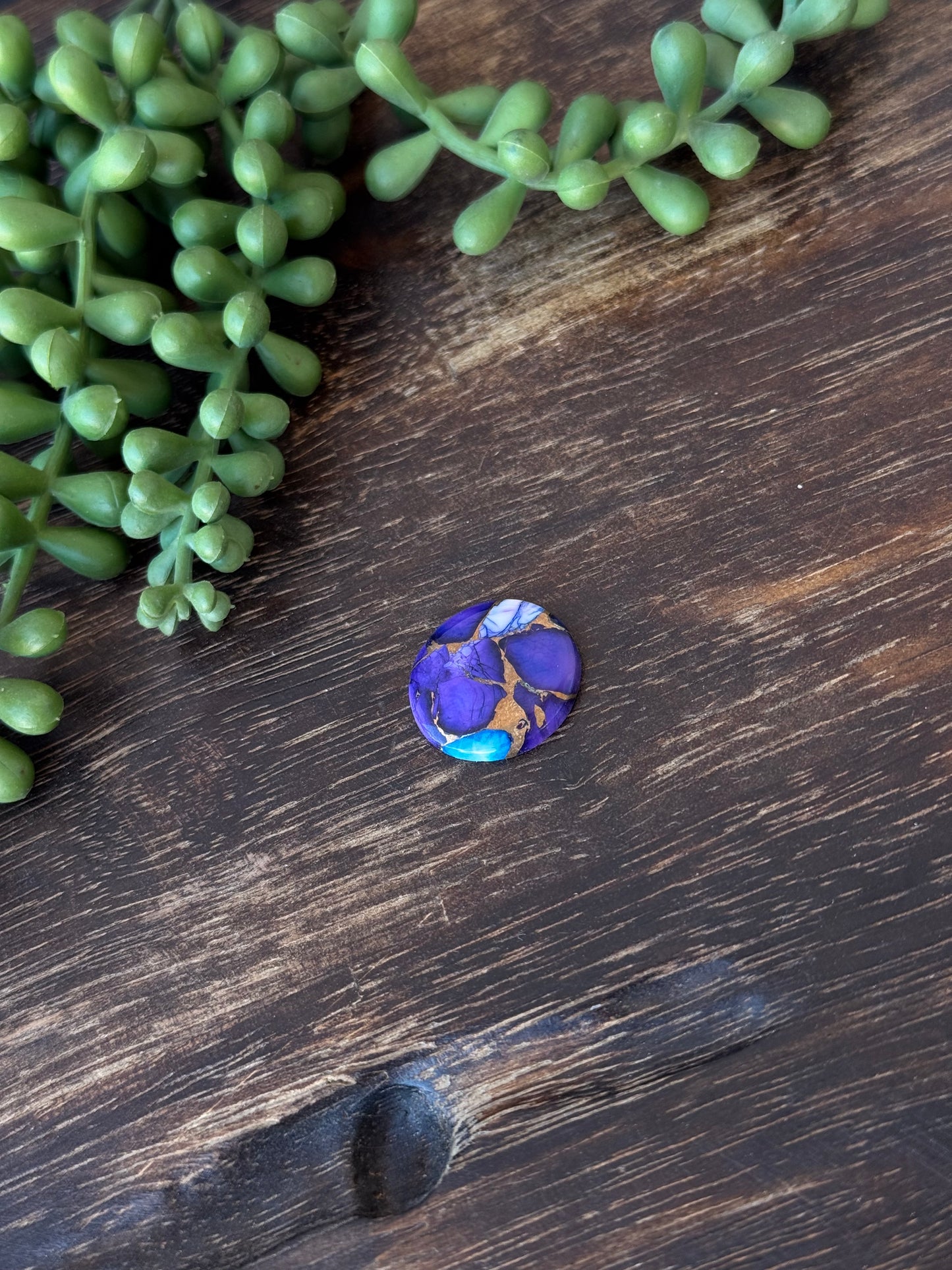 Purple Dahlia Composite Cabs