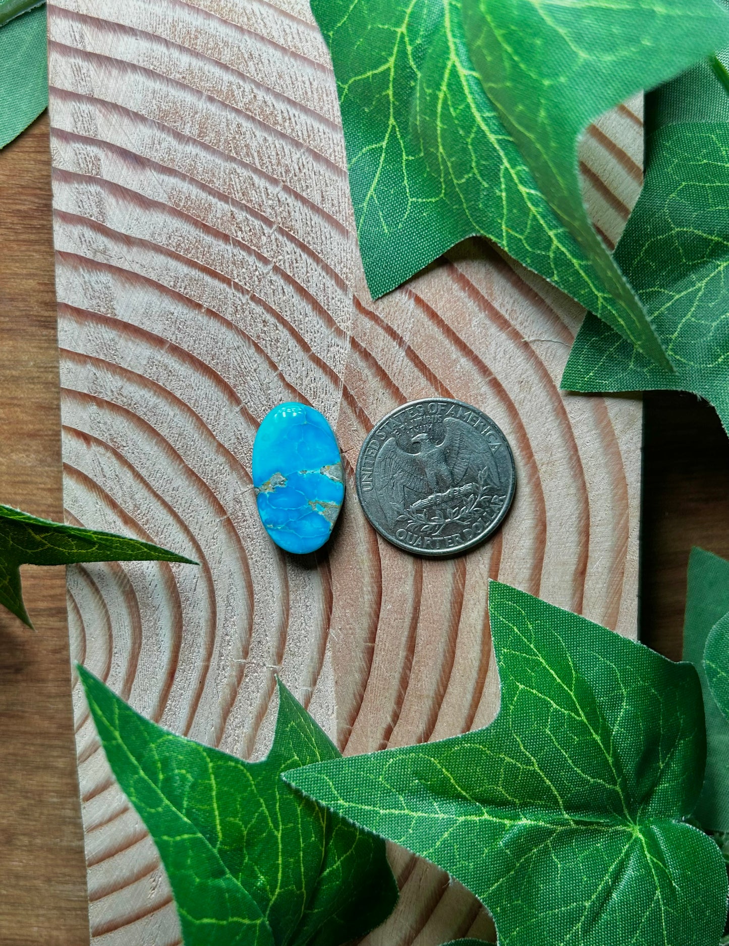 Blue Bird Turquoise Cabs
