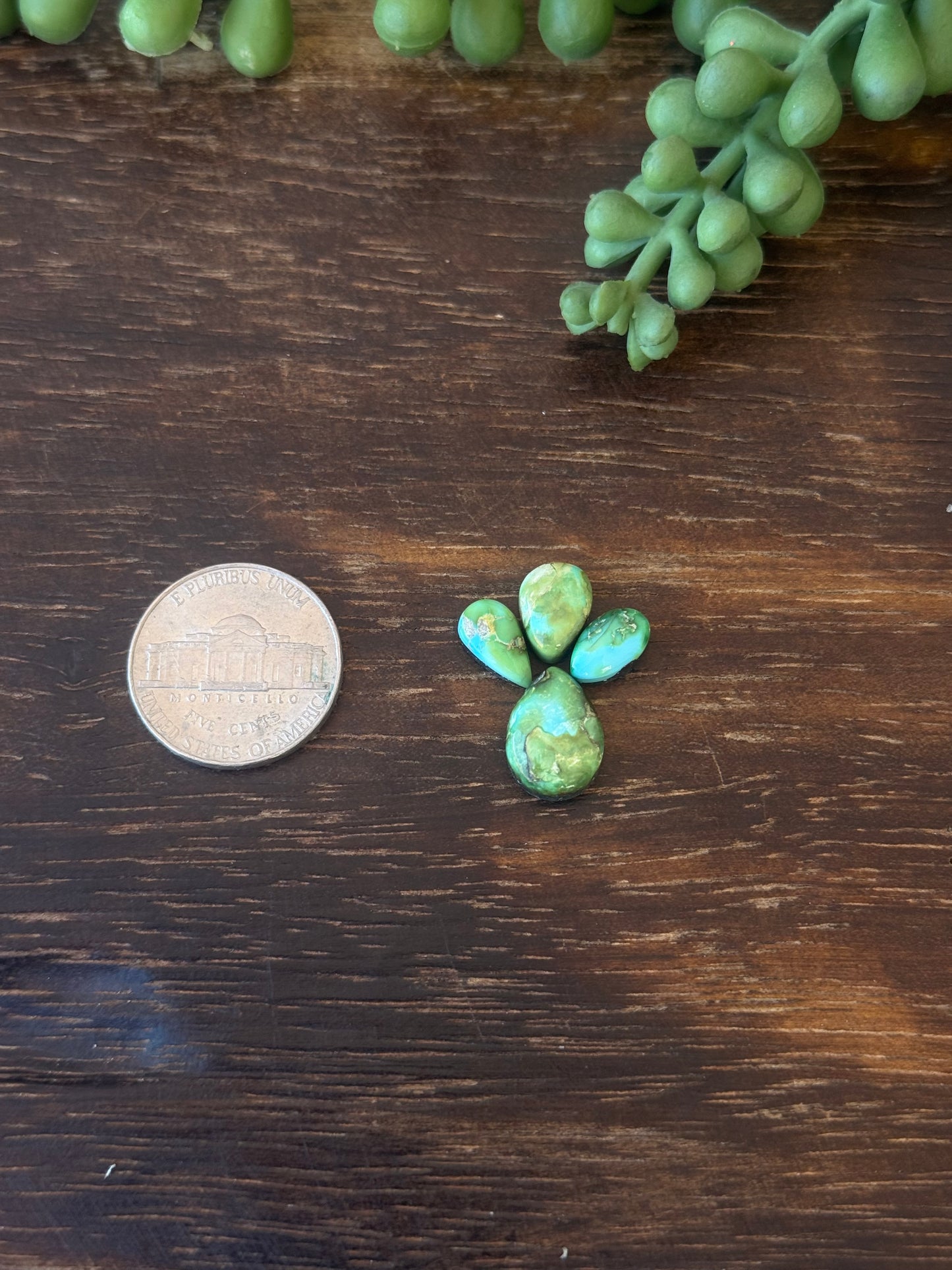 Sonoran Mountain Turquoise Cabs