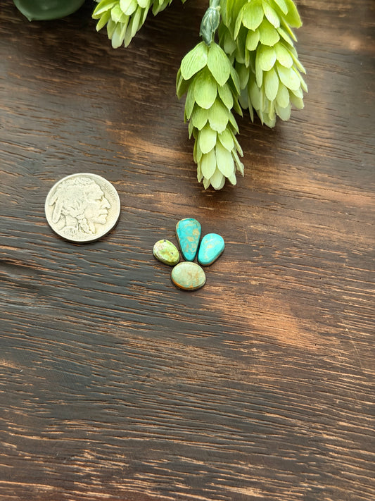 Evans Turquoise Cabs